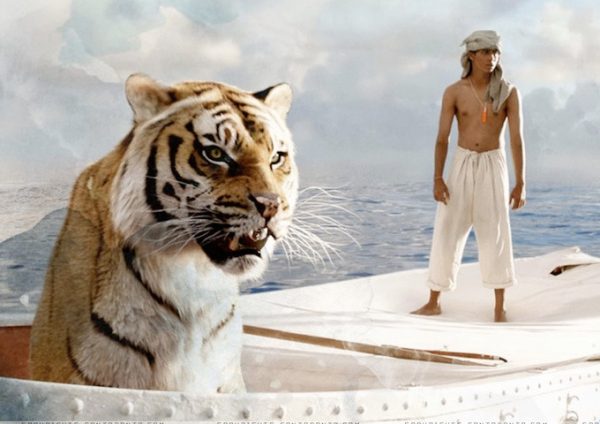 Life Of Pi