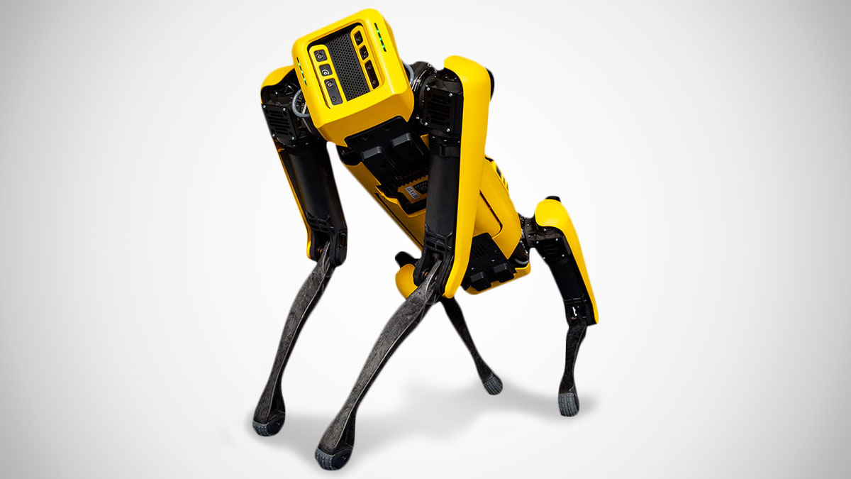 Boston Dynamics’ robot dogs line is named Spot
