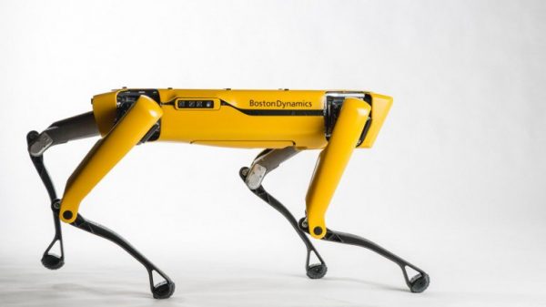 Robot Dogs Are Now Available For Companies To Order - 78