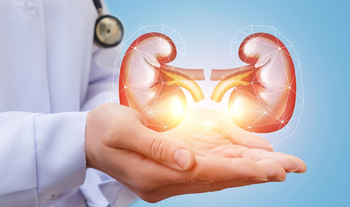 Artificial Kidneys: How It Benefits Us
