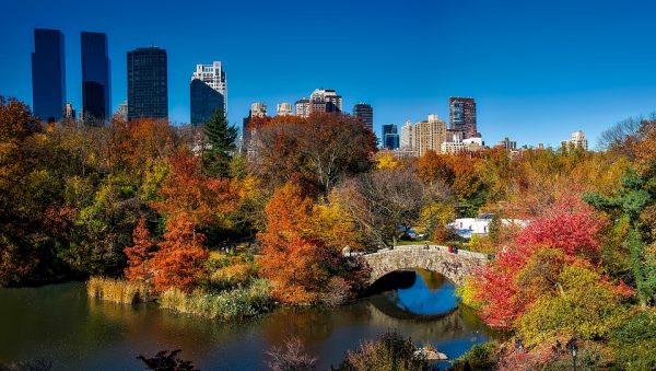 Central Park in New York is an awesome Pokemon Go location