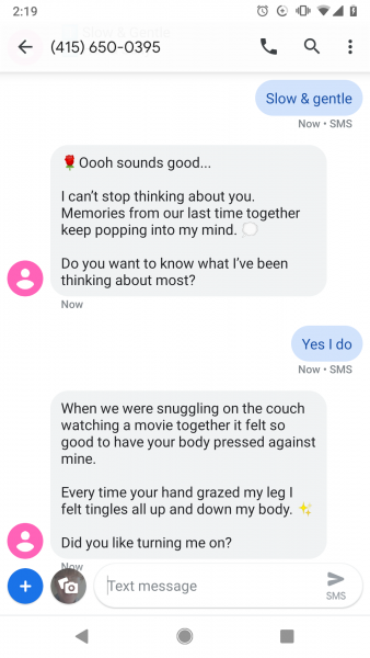 Sex Chat Bot  Why Is It So Popular In 2020  - 13