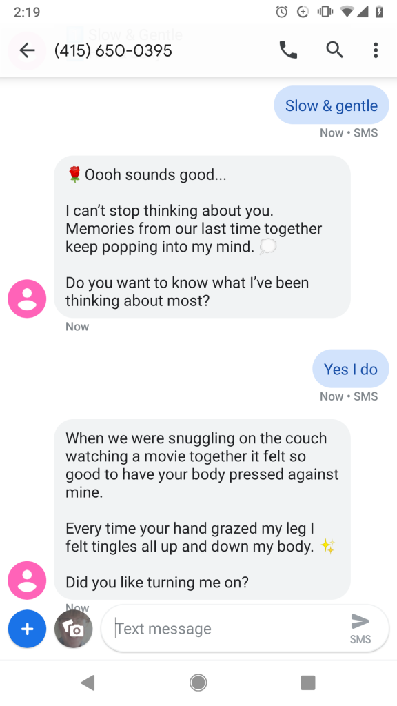anal sex chatbot