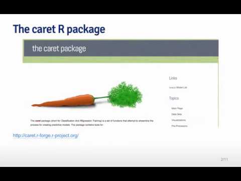 Sreenshot showing caret packages