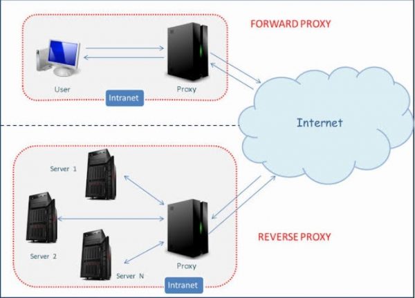 proxy vs web proxy vs reverse proxy vs socks procy