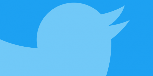 How to Download Twitter Videos: The Definitive Guide