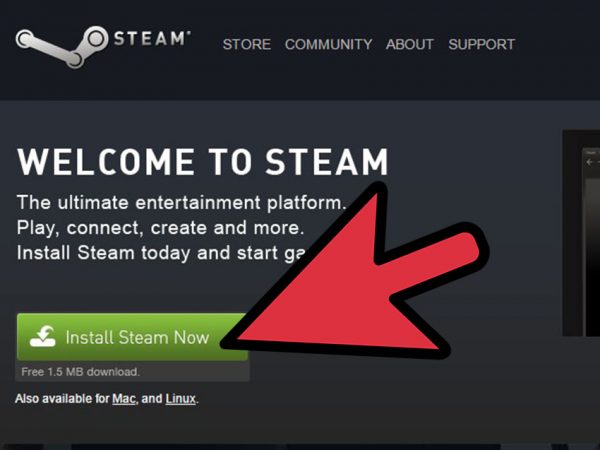 The first step to buying a game from Steam.