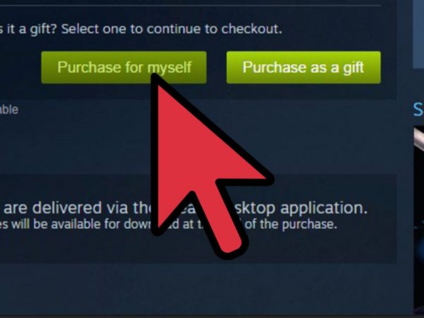 The seventh step to buying a game from Steam.