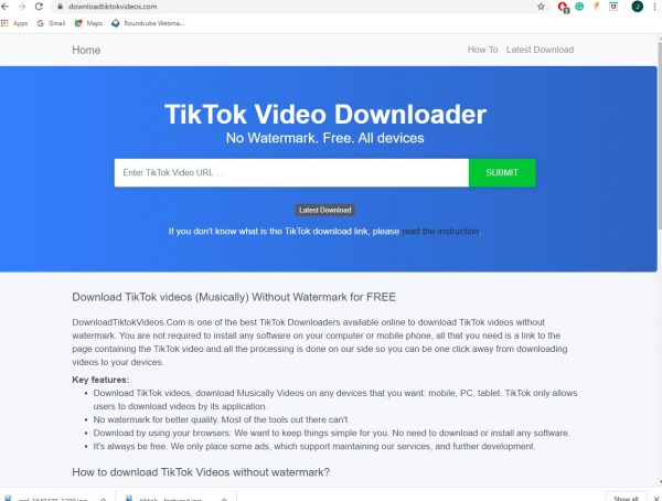 download tiktok videos with this site