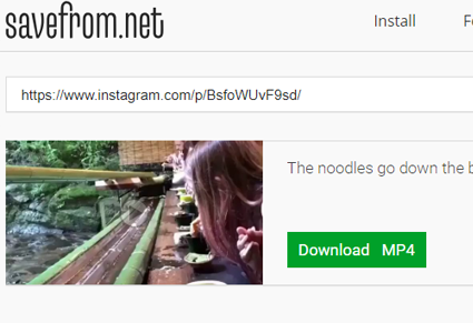 web store instagram video downloader