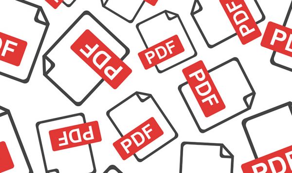 What is a PDF File