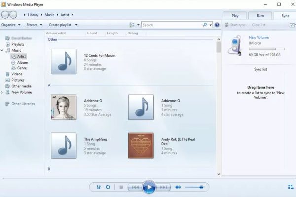 Windows Media Player Interface