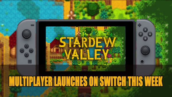 Stardew Valley on Nintendo Switch