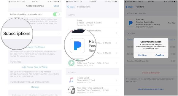 Pandora Music Review  Price  Features  Library  2020 Edition  - 31