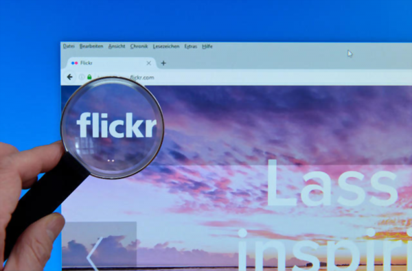 How to Download Flickr Photos Easily  Beginner friendly Guide  - 11