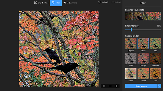 Windows 10 Photo Editor photo editing software