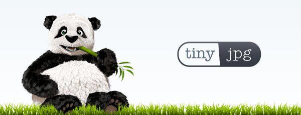 TinyJPG Image Converter Logo