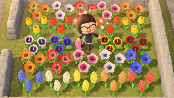 Animal Crossing Creating Hybrid Flowers