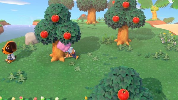 20 Animal Crossing  New Horizons Tricks for Best Gameplay - 31