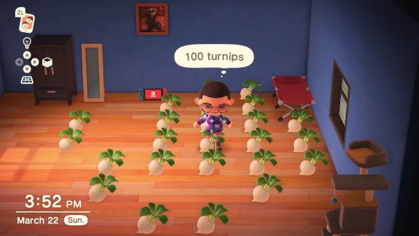 Animal Crossing Selling Turnips