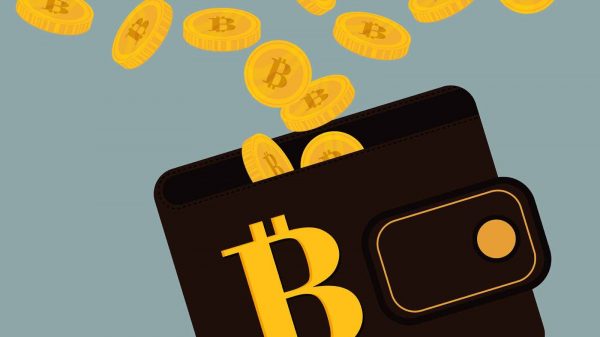 Best Bitcoin Wallets for Safe and Secure Transactions