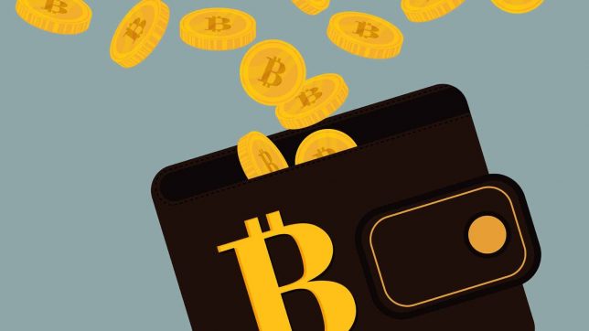 Best Bitcoin Wallets for Safe and Secure Transactions | Robots.net