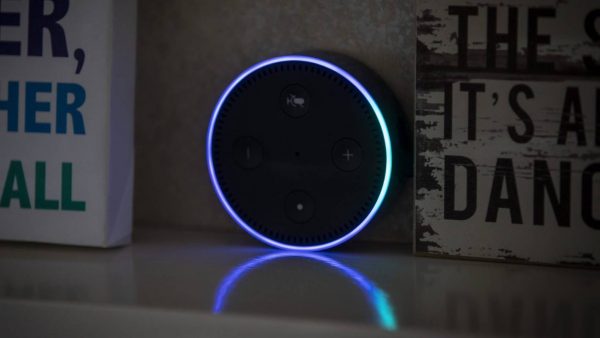 Delete Alexa Recordings Manually