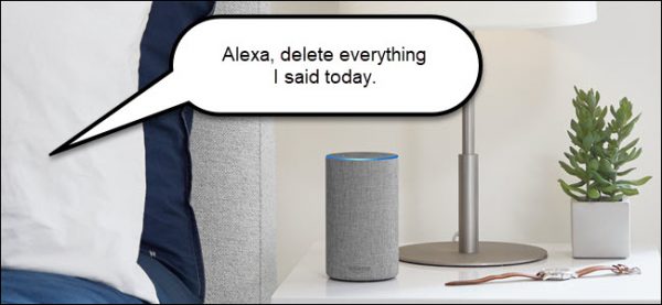 Alexa Voice Command to Delete Recordings