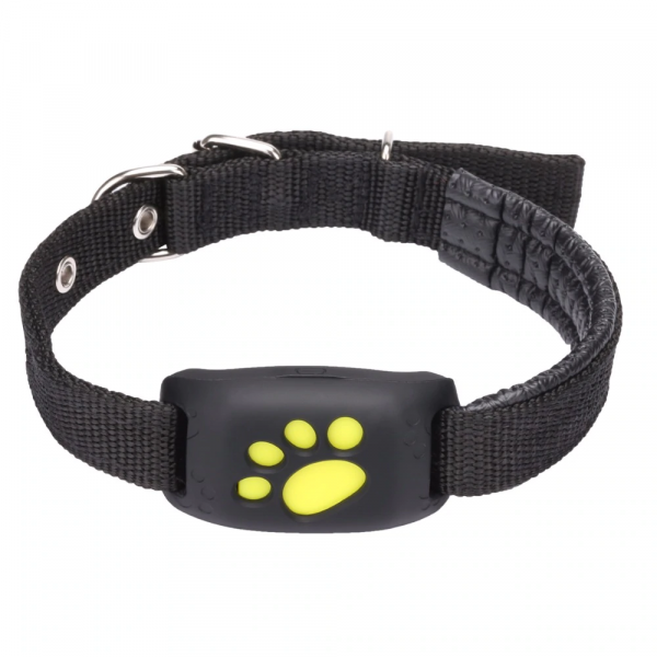 GPS dog collar