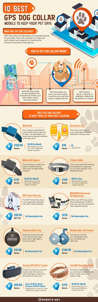 10 Best GPS Dog Collar Models to Keep Your Pet Safe