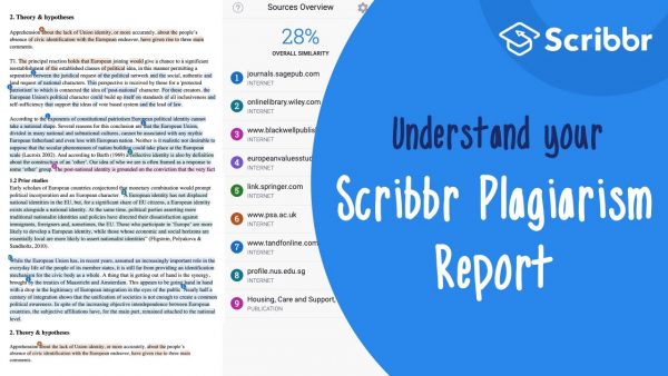 What Does The Plagiarism Report Contain?