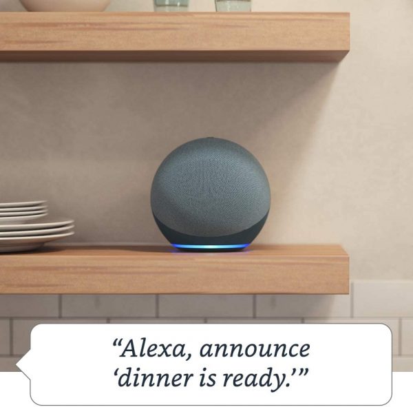 alexa home hub