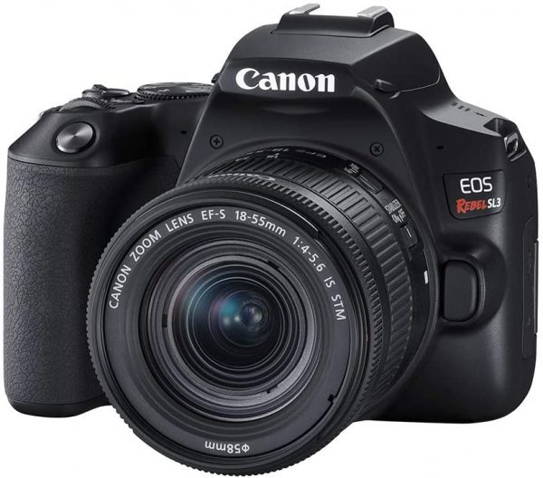 Canon EOS Rebel SL3 mirrorless vs dslr