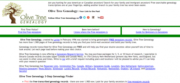 Olive Tree Genealogy