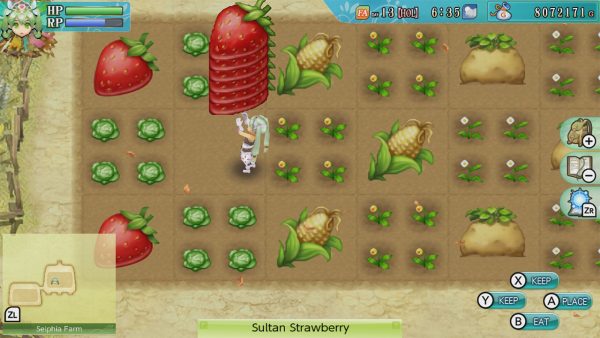 Rune Factory 4  The Lowdown on This JRPG Farming Simulator - 64