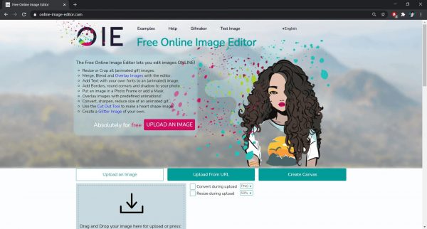 Online Image Editor software