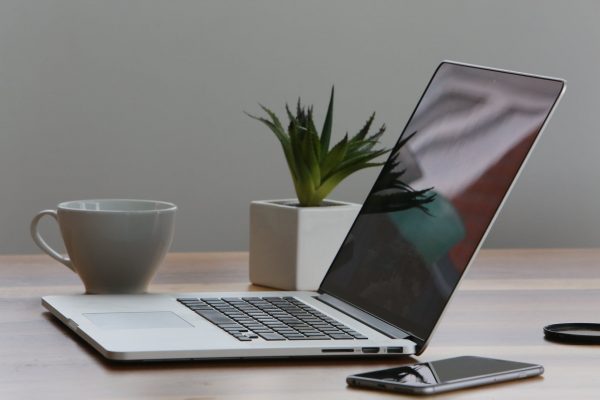 Simple Laptop with Plant