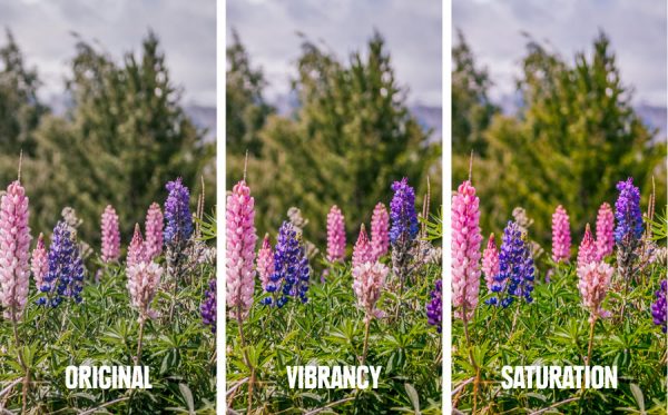 How to Edit Photos to Improve Lighting  Sharpen Images  and More - 66