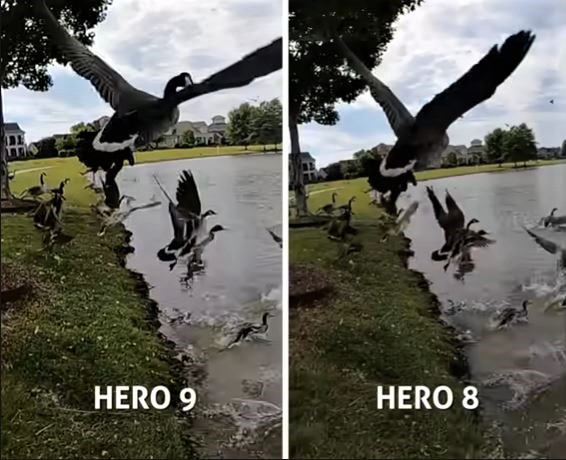 GoPro HERO 9 Review  Should You Upgrade From GoPro HERO8  - 8