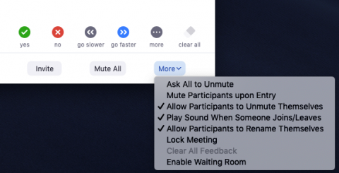 How To Mute Zoom To Silently Attend Online Conferences | Robots.net