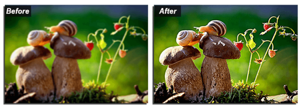 How to Edit Photos to Improve Lighting  Sharpen Images  and More - 62