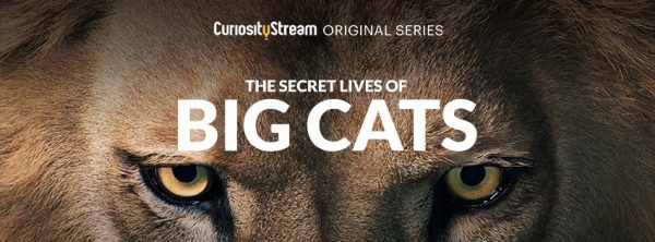 CuriosityStream Review  Can It Satisfy Your Craving for Documentaries  - 53