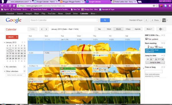 Google Calendar Interface
