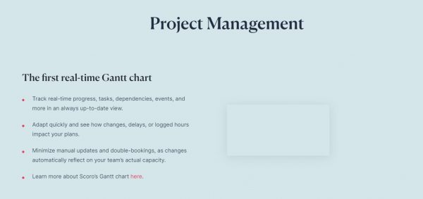 Project Management