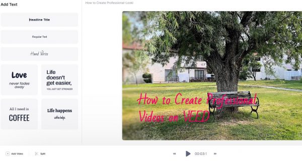 How to Create Professional Looking Videos Online on VEED - 30