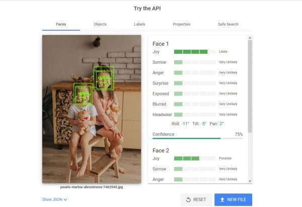 How to Use Google Vision API to Detect Details on Any Image - 92