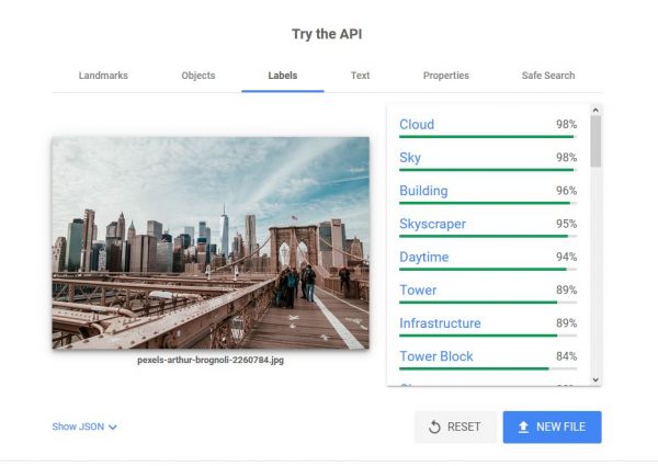 How to Use Google Vision API to Detect Details on Any Image - 6