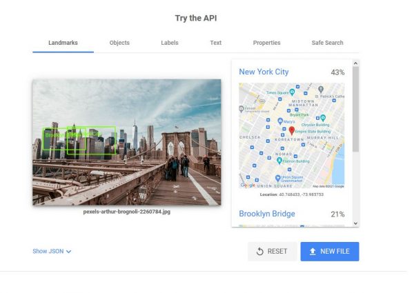 How to Use Google Vision API to Detect Details on Any Image - 28