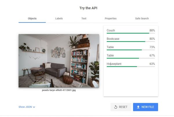 How to Use Google Vision API to Detect Details on Any Image - 37