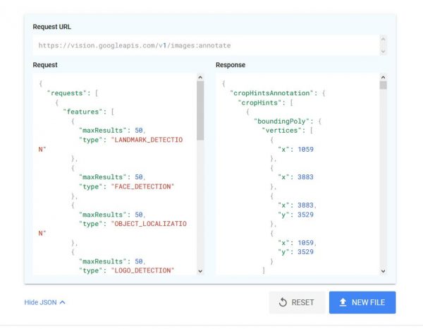 How to Use Google Vision API to Detect Details on Any Image - 17